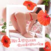 ヒメ日記 2026/02/20 23:19 投稿 けい 千葉人妻花壇