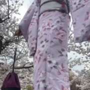 ヒメ日記 2026/03/27 13:28 投稿 けい 千葉人妻花壇