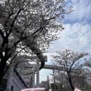 ヒメ日記 2026/03/30 17:52 投稿 けい 千葉人妻花壇