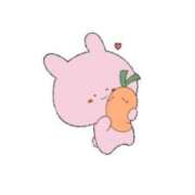 ヒメ日記 2025/12/11 11:44 投稿 ふうあ みつらん鉄道