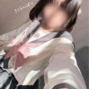 ヒメ日記 2026/01/31 21:34 投稿 ふうあ みつらん鉄道