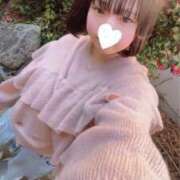 ヒメ日記 2026/02/12 12:35 投稿 ふうあ みつらん鉄道