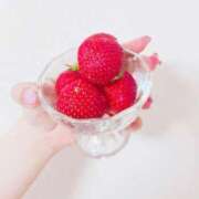 ヒメ日記 2026/02/25 20:54 投稿 ふうあ みつらん鉄道