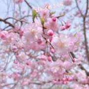 ヒメ日記 2026/02/27 14:54 投稿 ふうあ みつらん鉄道