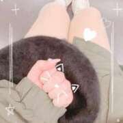 ヒメ日記 2026/03/25 12:21 投稿 ふうあ みつらん鉄道