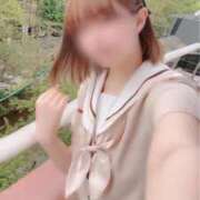 ヒメ日記 2026/04/18 12:05 投稿 ふうあ みつらん鉄道