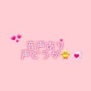 ヒメ日記 2026/04/28 00:16 投稿 ふうあ みつらん鉄道