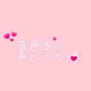 ヒメ日記 2026/05/11 06:24 投稿 ふうあ みつらん鉄道