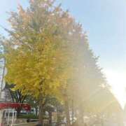 ヒメ日記 2025/11/30 09:00 投稿 まりあ 横浜ミセスアロマ（ユメオト）