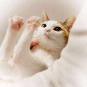 ヒメ日記 2025/12/14 08:30 投稿 まりあ 横浜ミセスアロマ（ユメオト）