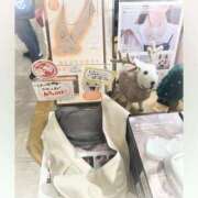 ヒメ日記 2025/12/19 06:20 投稿 まりあ 横浜ミセスアロマ（ユメオト）