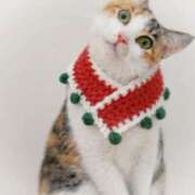 ヒメ日記 2026/01/08 07:19 投稿 まりあ 横浜ミセスアロマ（ユメオト）