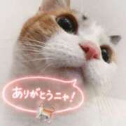 ヒメ日記 2026/01/25 21:53 投稿 まりあ 横浜ミセスアロマ（ユメオト）