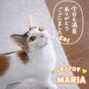 ヒメ日記 2026/02/14 17:05 投稿 まりあ 横浜ミセスアロマ（ユメオト）