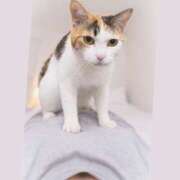 ヒメ日記 2026/04/13 15:42 投稿 まりあ 横浜ミセスアロマ（ユメオト）