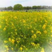 まりあ お花を見に行きました🌸 横浜ミセスアロマ（ユメオト）