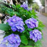 ヒメ日記 2026/06/03 07:59 投稿 まりあ 横浜ミセスアロマ（ユメオト）
