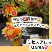 ヒメ日記 2026/09/12 06:33 投稿 まりあ 横浜ミセスアロマ（ユメオト）