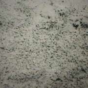 ヒメ日記 2026/01/02 21:24 投稿 るる 出会い系人妻ネットワーク 春日部〜岩槻編