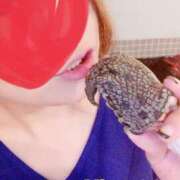 ヒメ日記 2025/11/14 15:02 投稿 みさと ARIEL（アリエル）（宮崎）