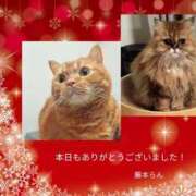 ヒメ日記 2025/12/05 23:16 投稿 藤本らん MADAM