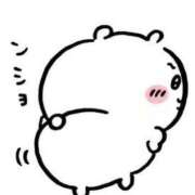 ヒメ日記 2026/02/20 14:10 投稿 上峰さら【PREMIUM】 素人専門　街角レディ