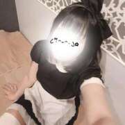 あかり 出勤🧸 アリスカフェ