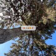 ヒメ日記 2025/11/21 07:20 投稿 高嶺らん ゴールドクイーン