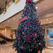 ヒメ日記 2025/12/08 07:20 投稿 高嶺らん ゴールドクイーン