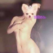 ヒメ日記 2026/03/26 16:00 投稿 高嶺らん ゴールドクイーン(雄琴)