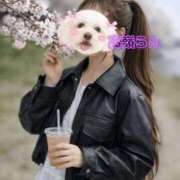 ヒメ日記 2026/04/01 10:20 投稿 高嶺らん ゴールドクイーン(雄琴)