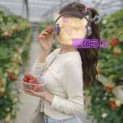 ヒメ日記 2026/04/02 12:50 投稿 高嶺らん ゴールドクイーン(雄琴)