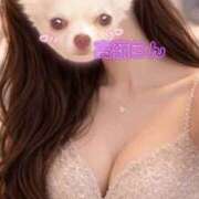 ヒメ日記 2026/04/09 07:20 投稿 高嶺らん ゴールドクイーン(雄琴)