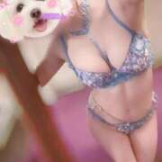 ヒメ日記 2026/06/11 14:20 投稿 高嶺らん ゴールドクイーン(雄琴)