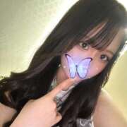 ヒメ日記 2025/11/13 11:30 投稿 みみ 激安ソープの殿堂　ボイン・ホーテ