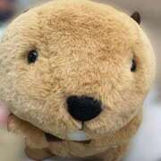 ヒメ日記 2026/03/29 23:10 投稿 ひとみ Fの法則