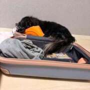 ヒメ日記 2026/01/16 21:05 投稿 みさき 妻の友人