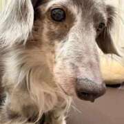 みさき ありがとうございました🩷 妻の友人