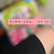 ヒメ日記 2025/11/14 22:50 投稿 天木るか 月の真珠-五反田-