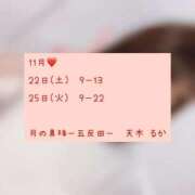 ヒメ日記 2025/11/19 09:20 投稿 天木るか 月の真珠-五反田-