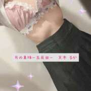 ヒメ日記 2025/11/20 20:21 投稿 天木るか 月の真珠-五反田-