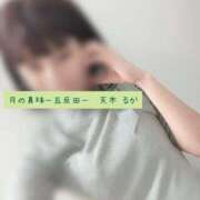 ヒメ日記 2025/11/26 09:10 投稿 天木るか 月の真珠-五反田-