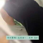 ヒメ日記 2025/11/30 15:20 投稿 天木るか 月の真珠-五反田-