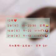 ヒメ日記 2025/12/02 12:22 投稿 天木るか 月の真珠-五反田-