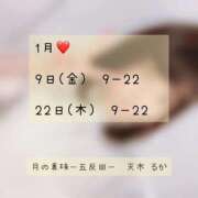 ヒメ日記 2026/01/02 20:08 投稿 天木るか 月の真珠-五反田-