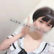 天木るか 🈳枠 月の真珠-五反田-