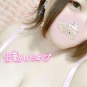 ヒメ日記 2025/11/15 16:15 投稿 そら ぷよラブ