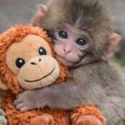 ヒメ日記 2026/02/26 12:49 投稿 くるみ ソープランド メイド館 ラ・メイド