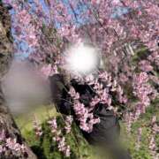 アオネ ハルぅー 🌸 クリエーション