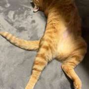 ヒメ日記 2026/01/16 22:44 投稿 河野 熟女の風俗最終章 横浜本店